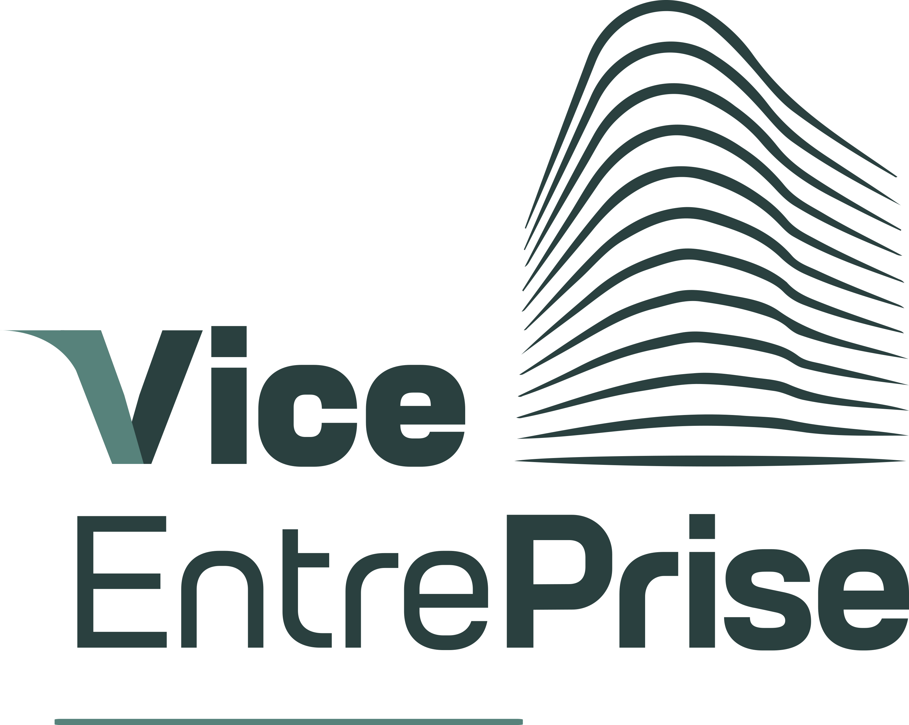 ViceEntrePrise