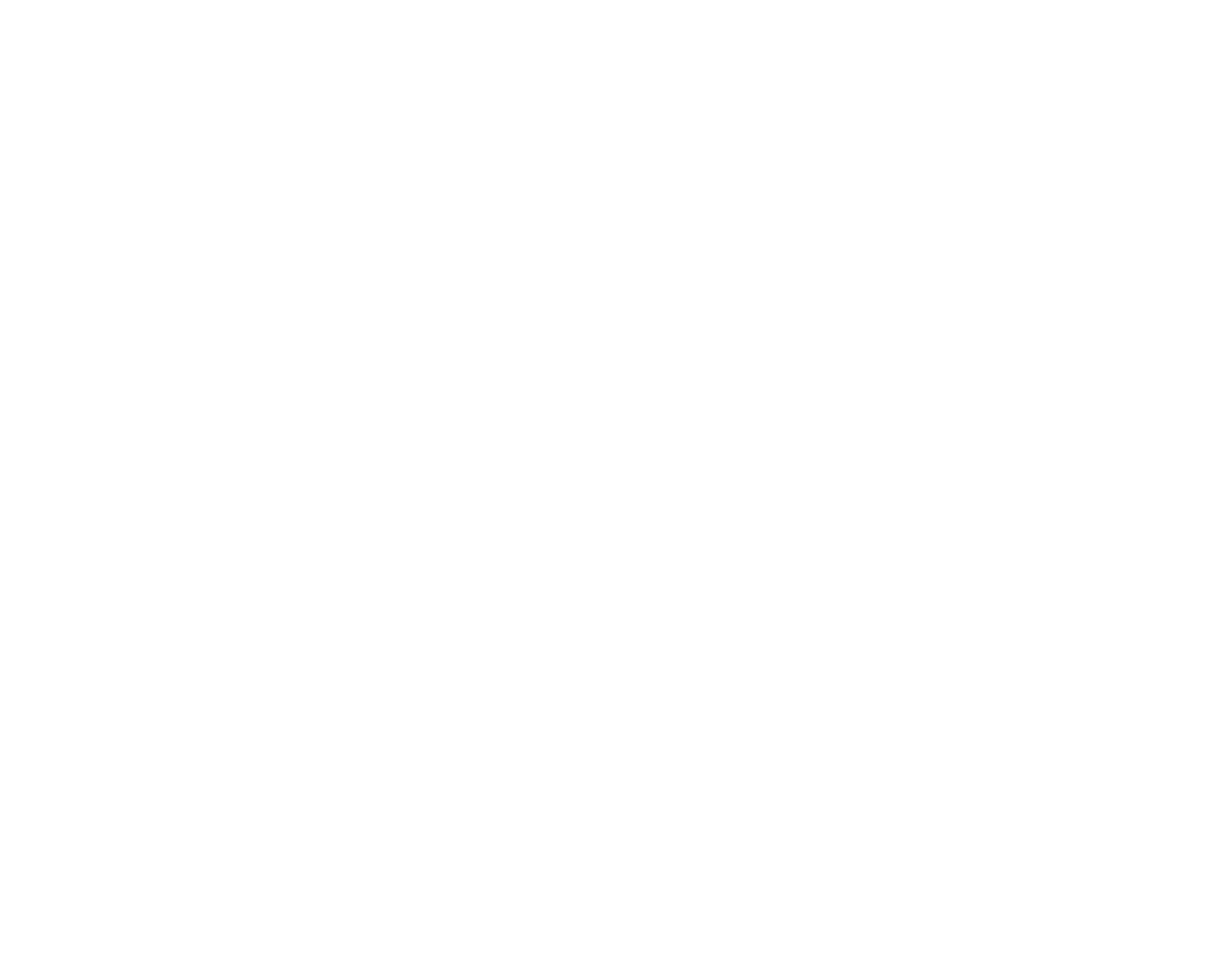 ViceEntrePrise